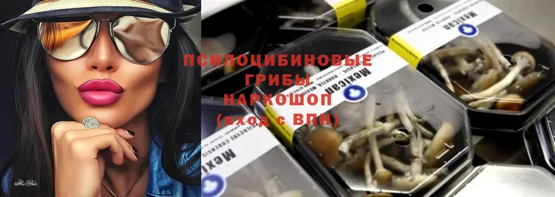 Псилоцибиновые грибы Psilocybe  OMG зеркало  Бабаево 